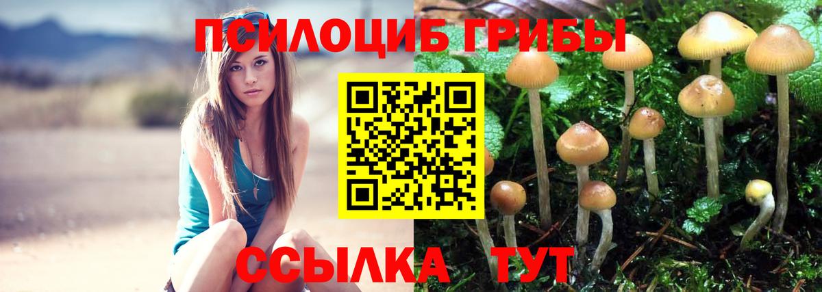 Галлюциногенные грибы прущие грибы Карабулак